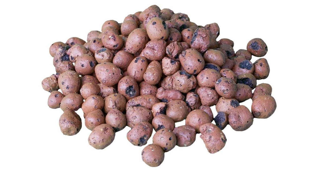 What Is Expanded Clay (Growing Medium)