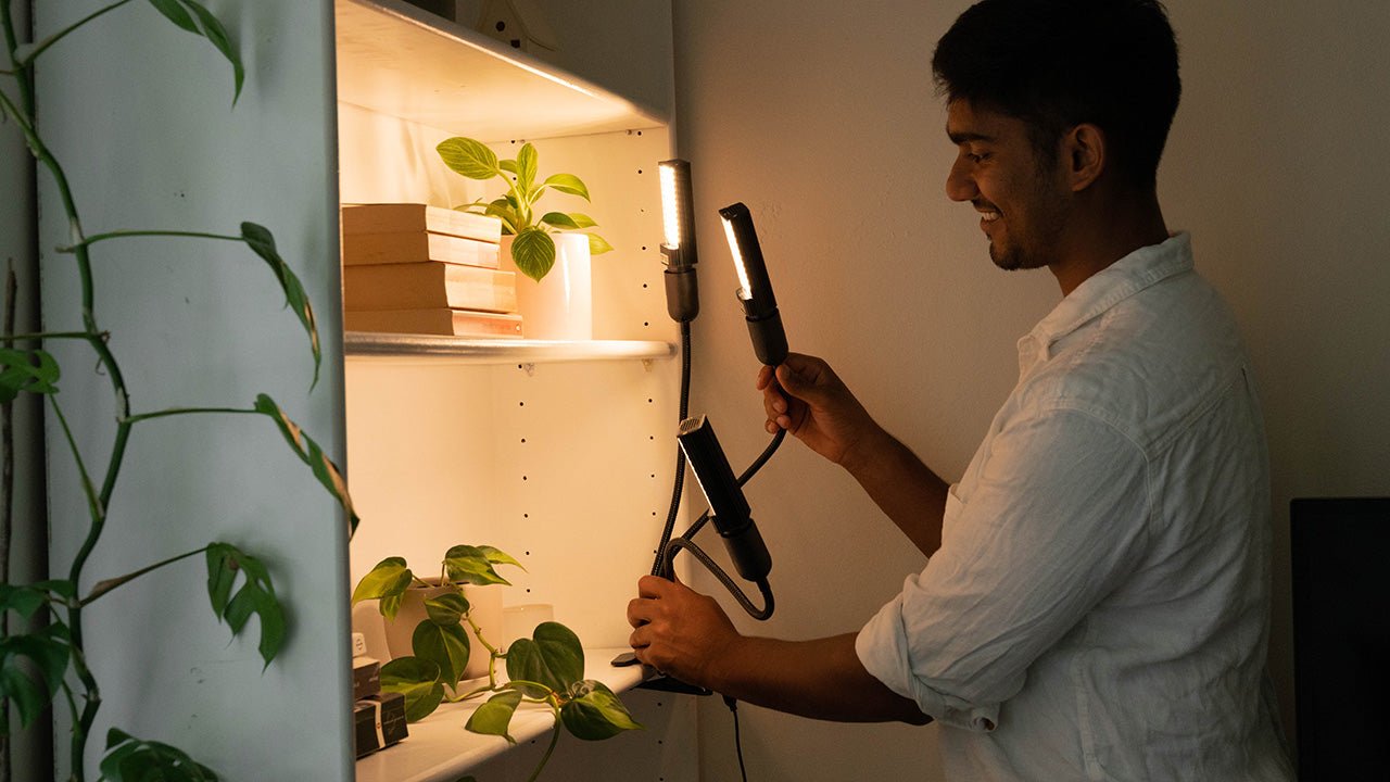 LED Grow Lights V.S. Other Hydroponic Lights