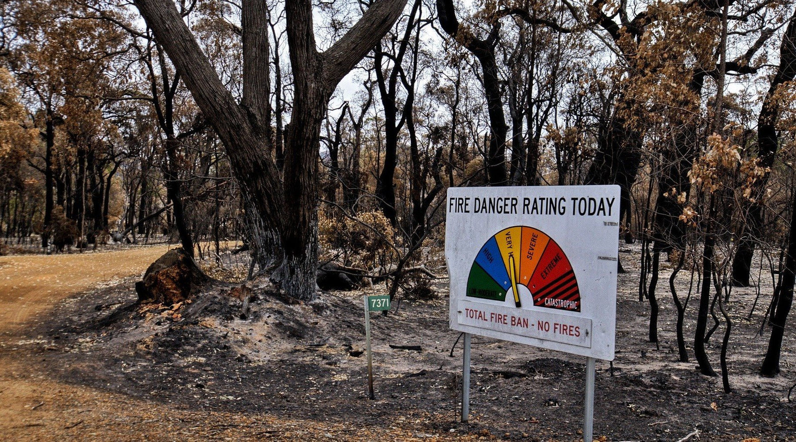 Fire danger rating sign beside burnt bushland after a bushfire