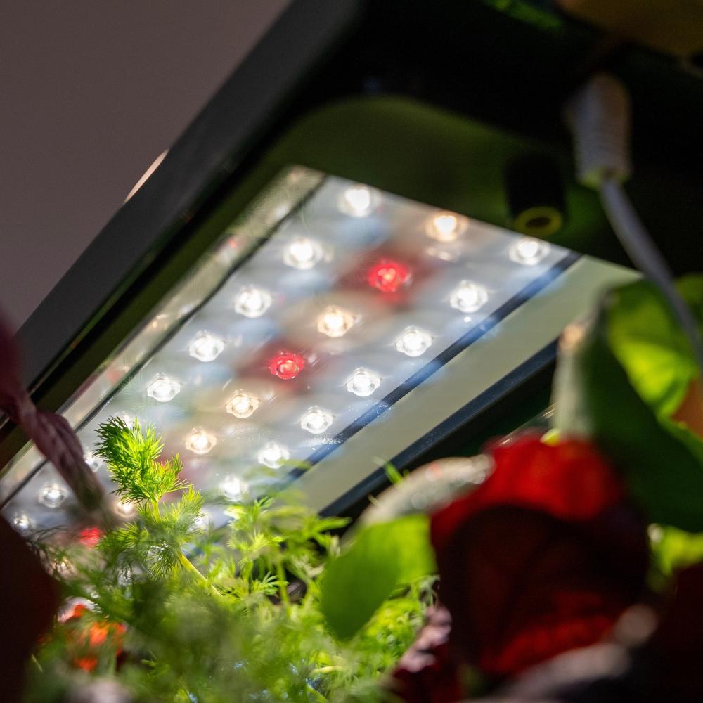 Sun Garden | Indoor hydroponic garden for herbs and leafy greens