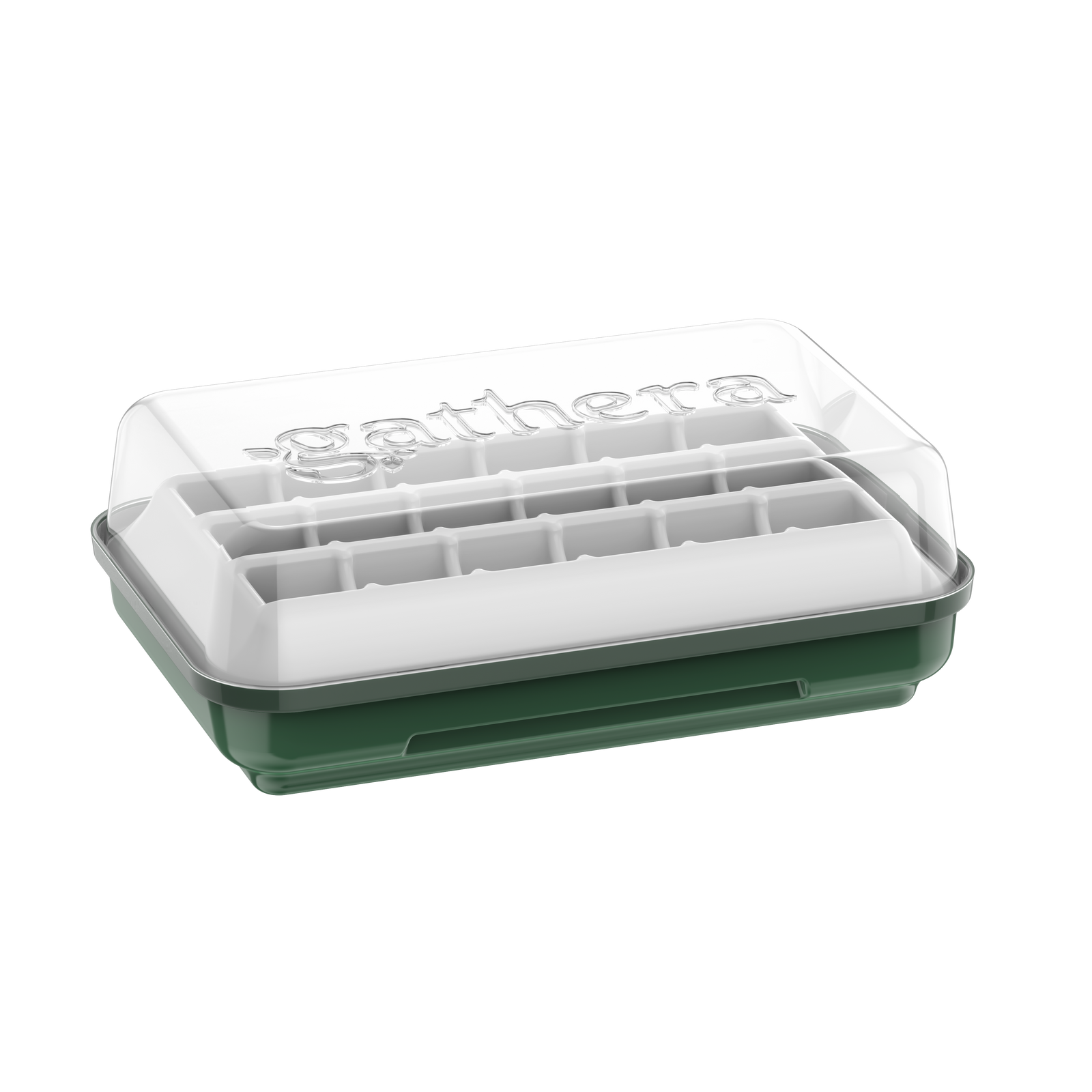 Greenhouse Seedling Tray