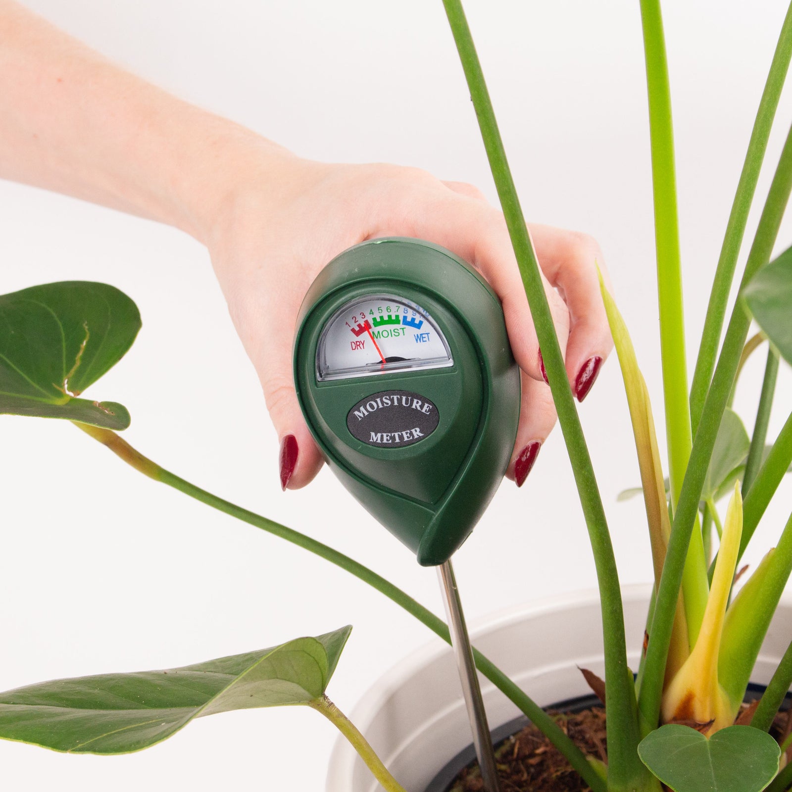 Soil Moisture Meter