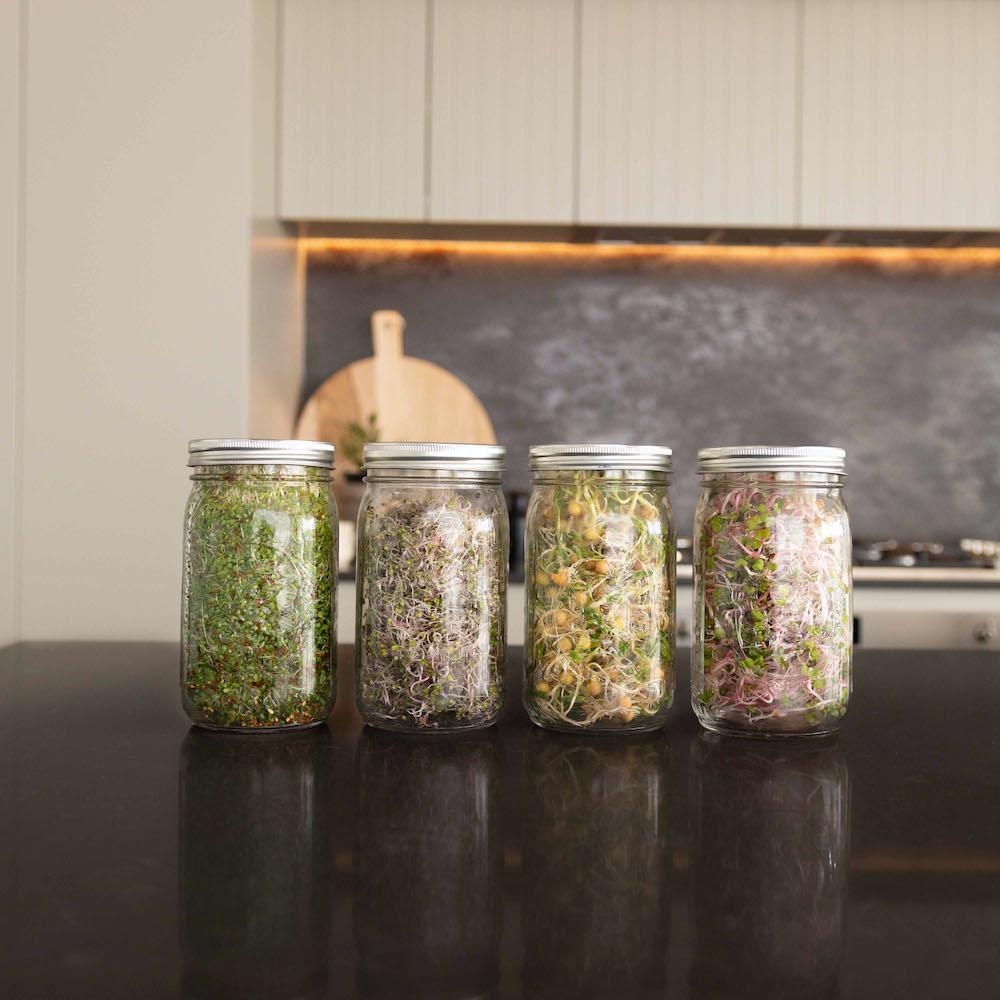 Speedy Sprouter Jars-Urban Plant Growers-1 Jar-