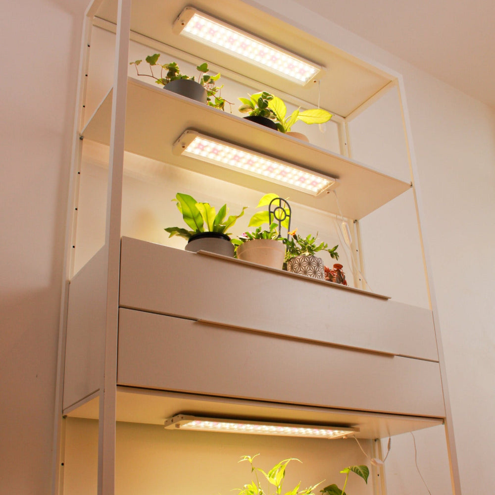 Sun panel led grow light shining on indoor house plants in white shelf-1