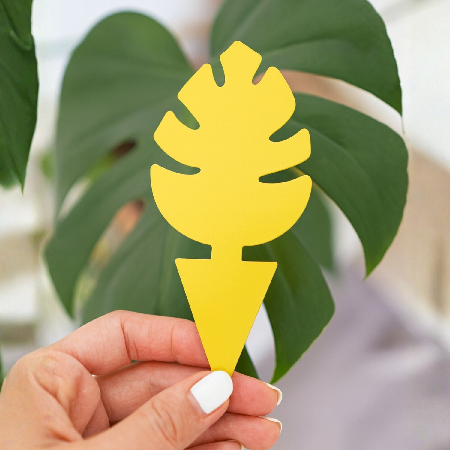 Plant Insect Sticky Traps - 12per pack