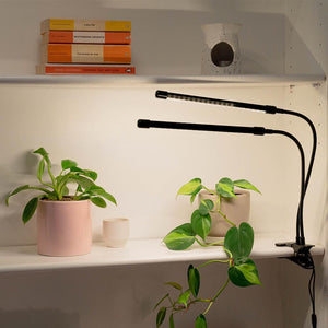 Urban Plant Growers LED Grow Light hydroponic warm white full spectrum light 2 heads indoor pot plant on bookshelf