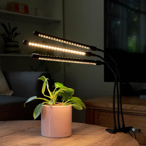 Urban Plant Growers LED Grow Light hydroponic warm white full spectrum light 3 heads indoor pot plant on coffee table