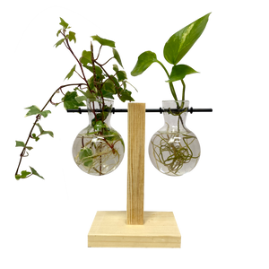 Dual-Hanging Propagation Station T Bar with Plants