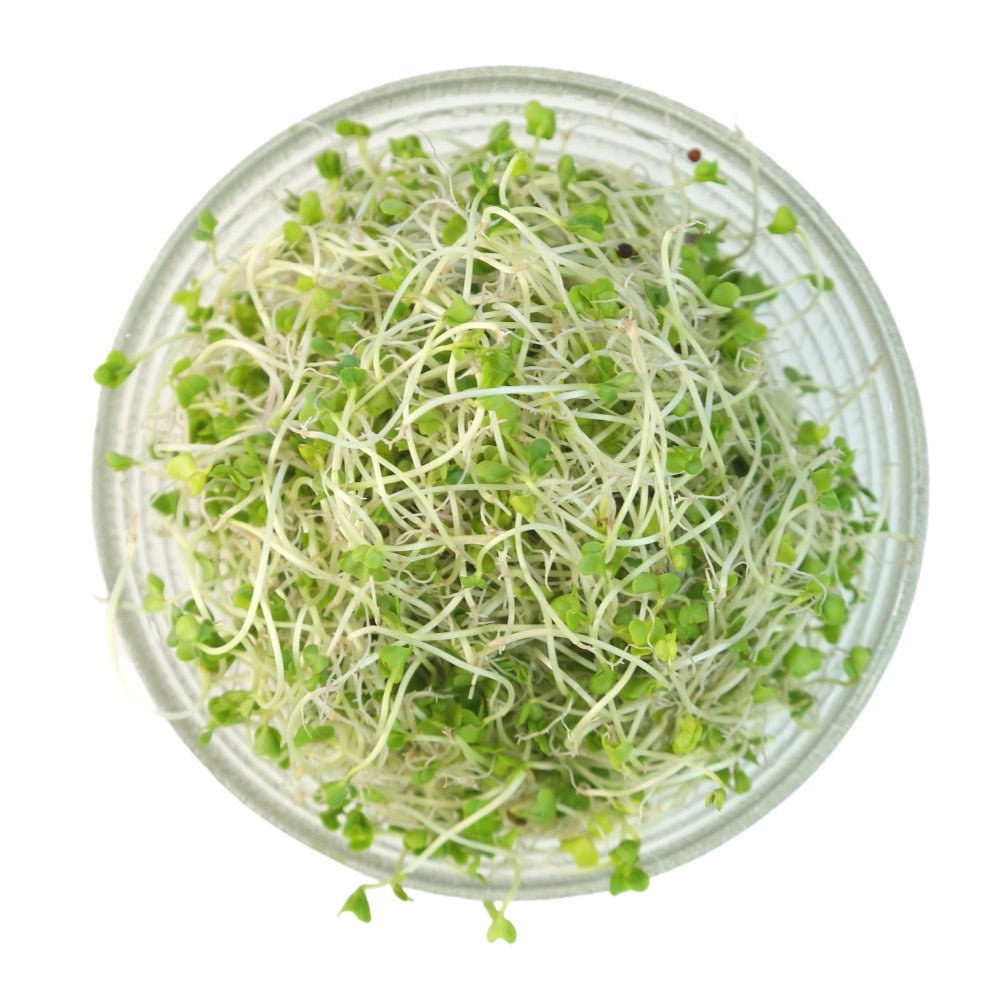 Sprouting Broccoli Seeds