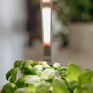 Indoor Smart Garden-Home Garden-urbanplantgrowers.com-