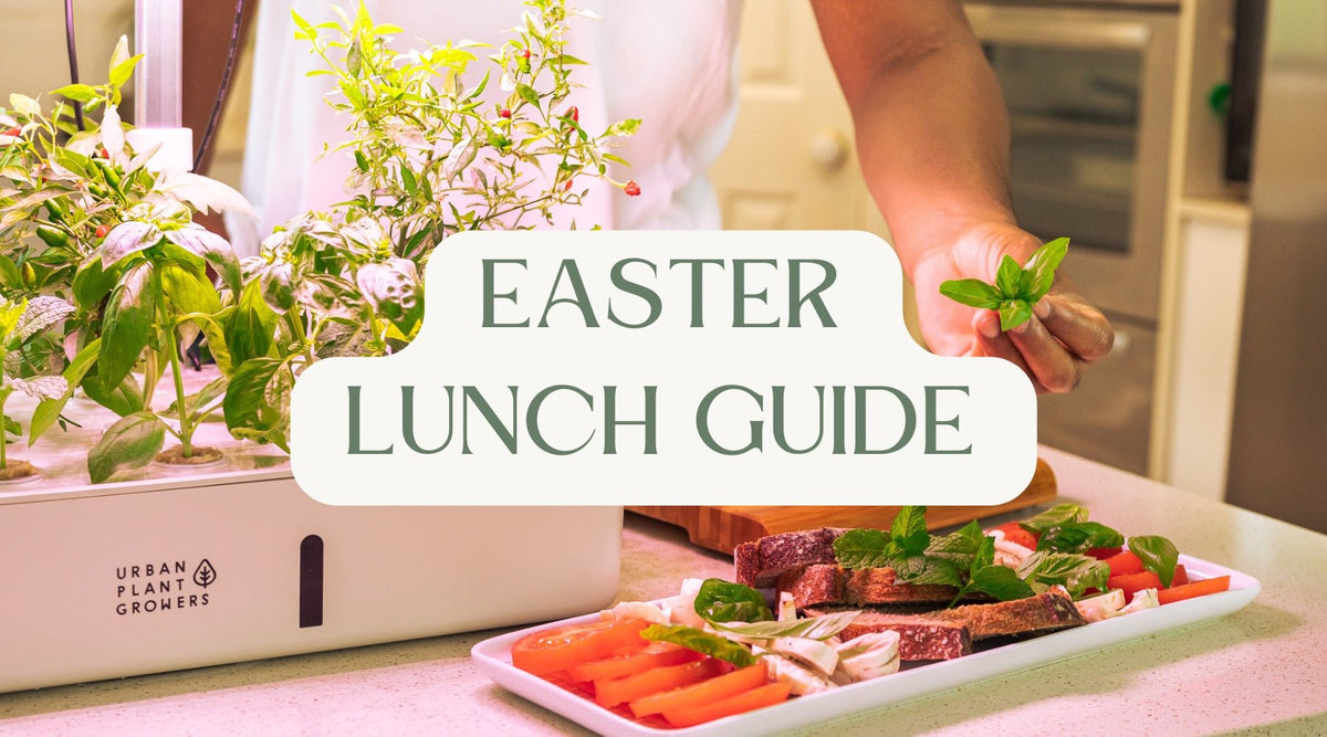 Easter lunch guide 3 recipes 