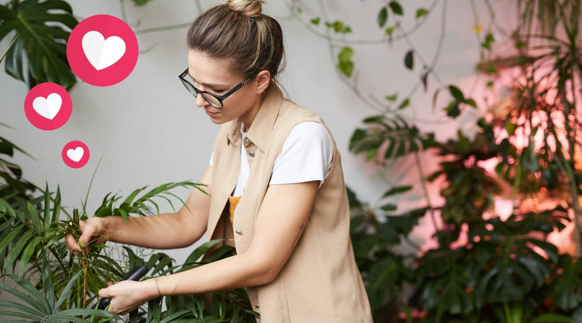 February Newsletter lady caring for indoor plants with hearts rising up