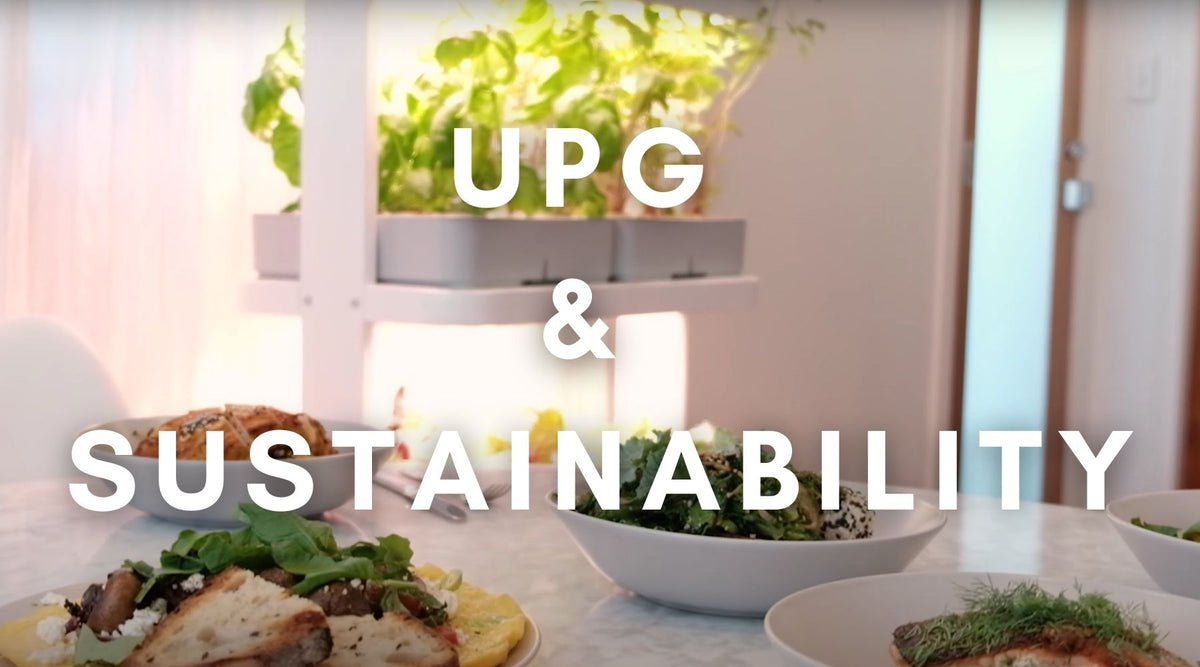the text upg and sustainability over the image of a hydroponics system growing foor indoors