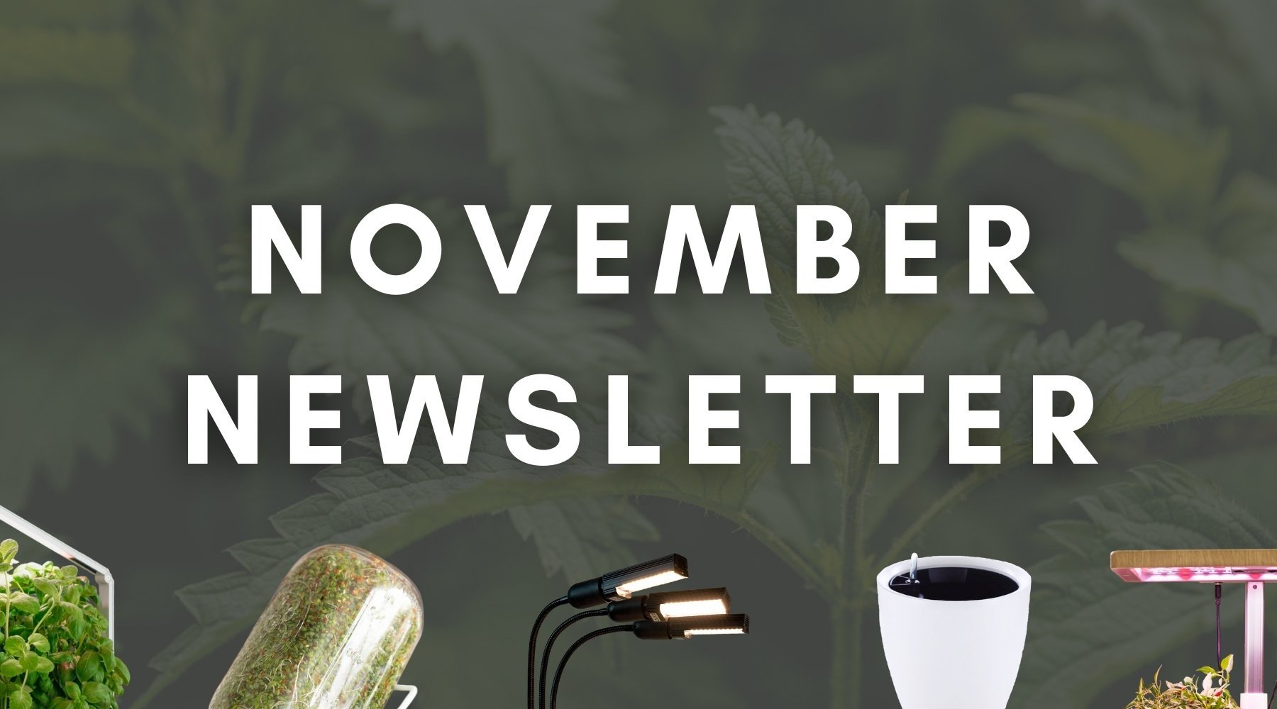 November Newsletter white writing on dark background with hydroponic products lined up along the bottom
