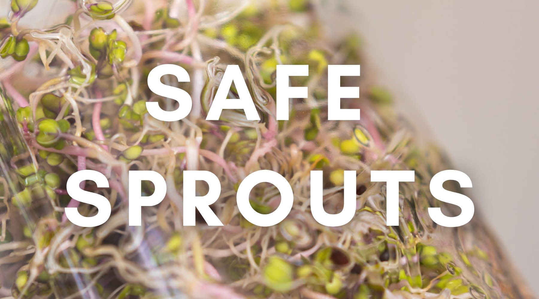 sprouts grown safely 