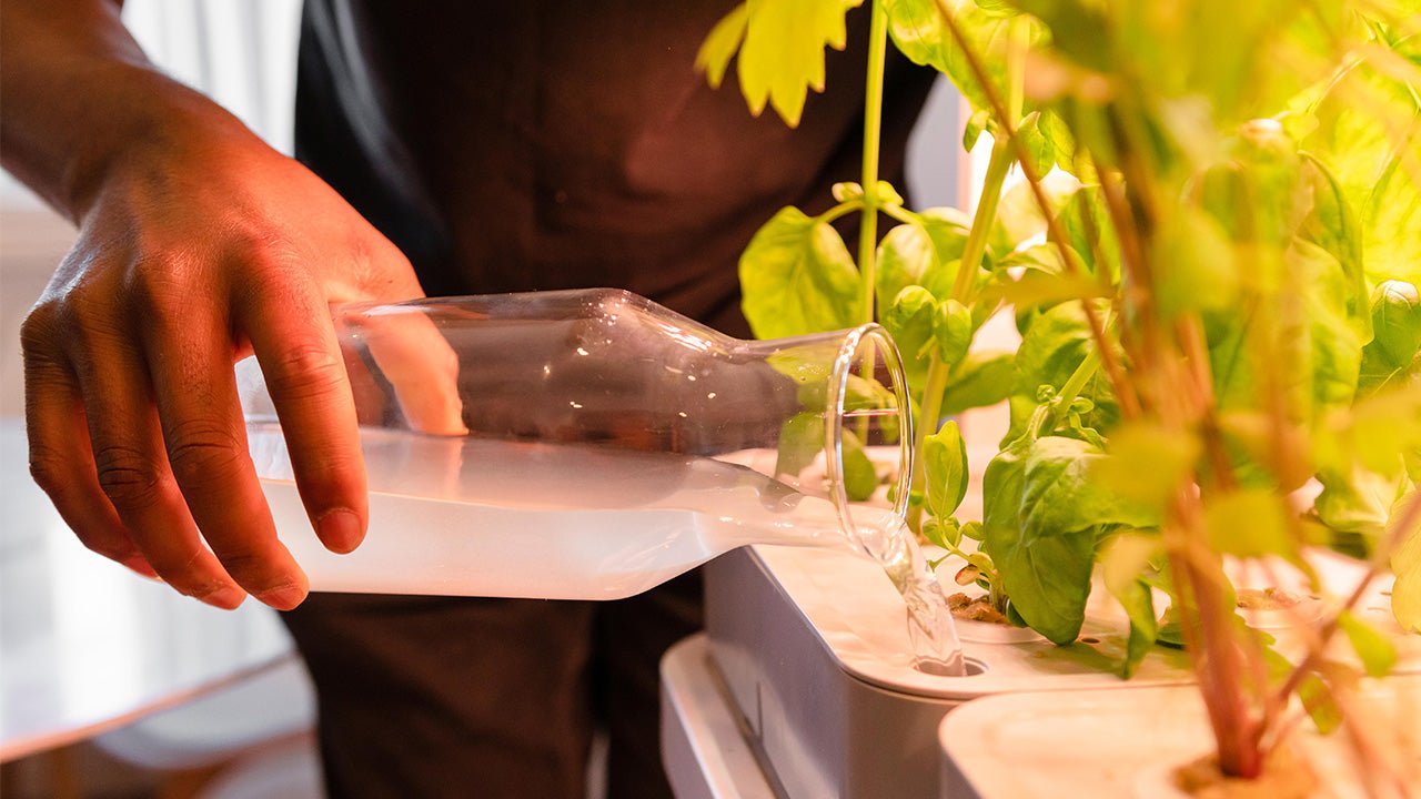 What Nutrients Do Plants Need