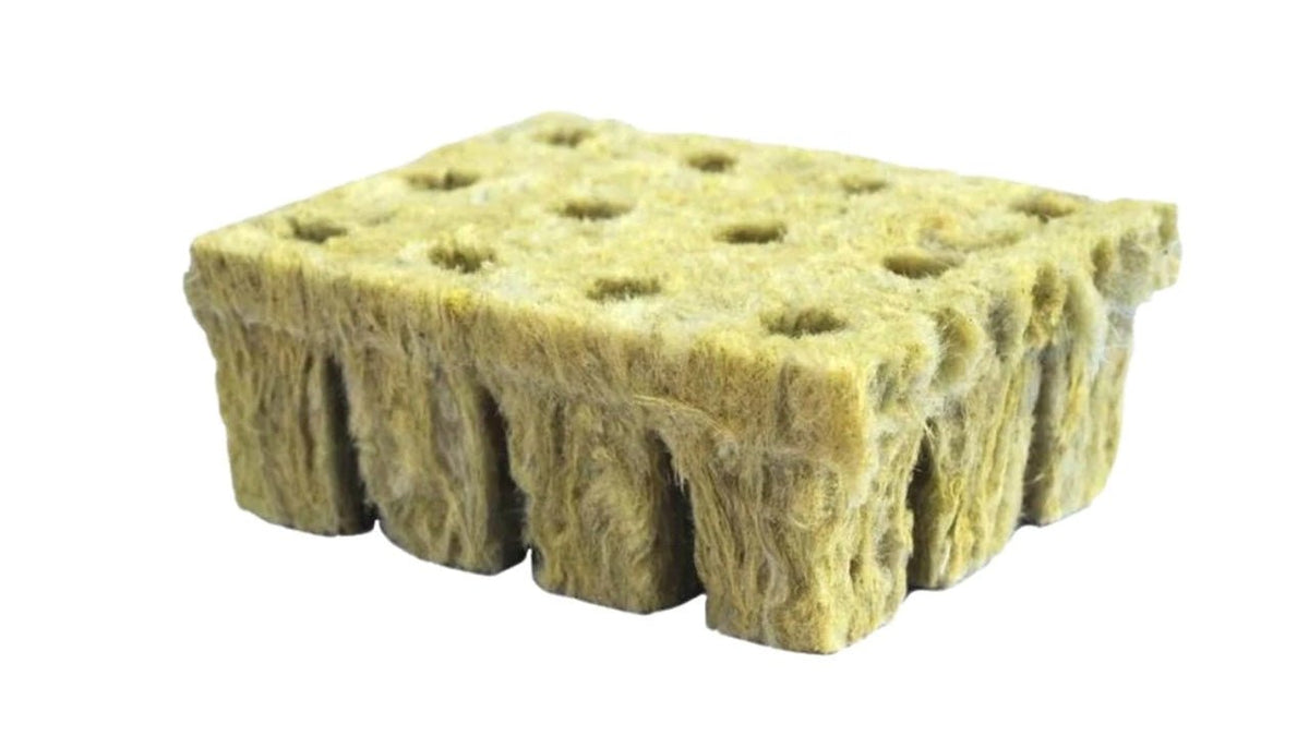 Rockwool cubes used for germinating seeds