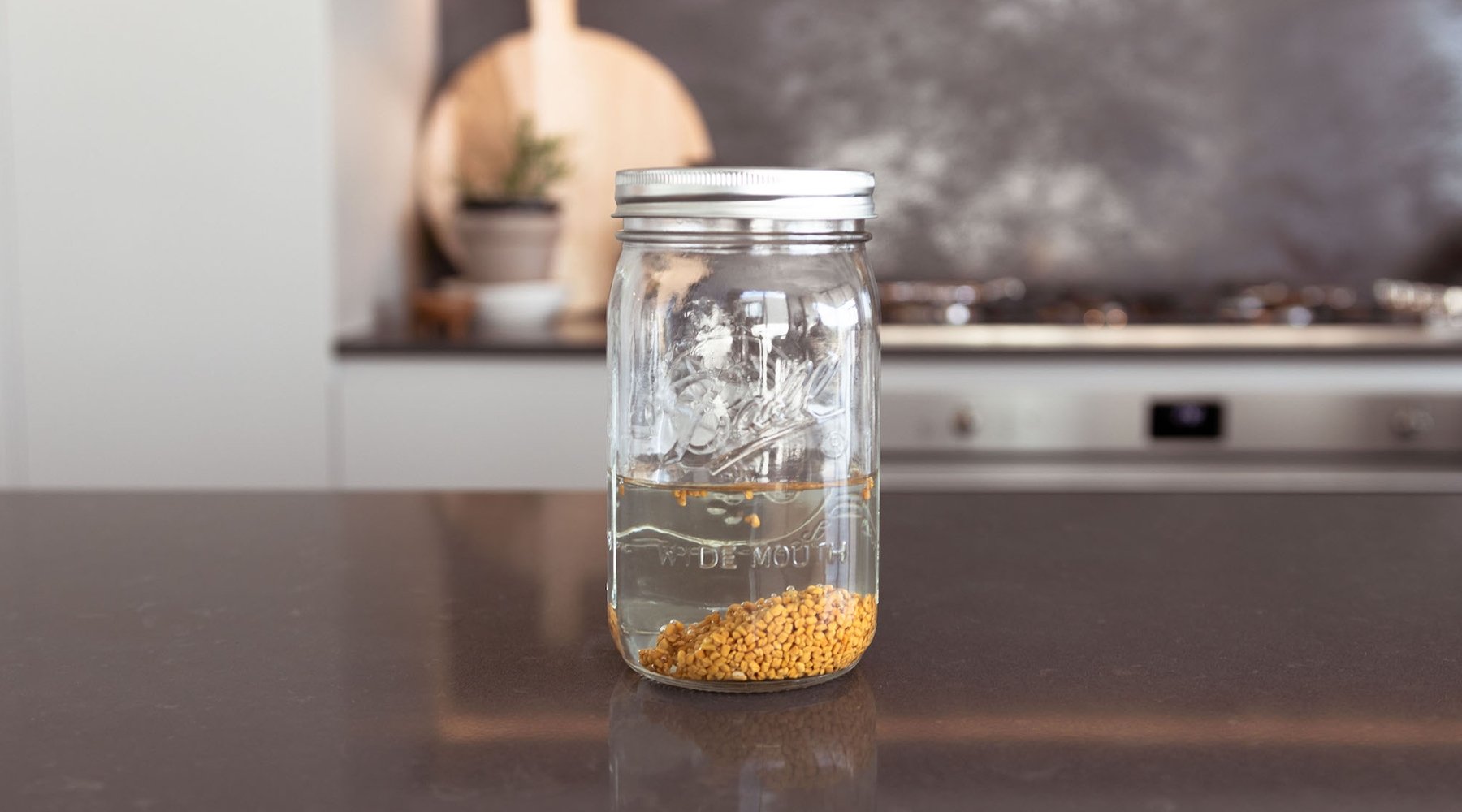 Sprouting Jar, Urban Plant Growers, sprouts