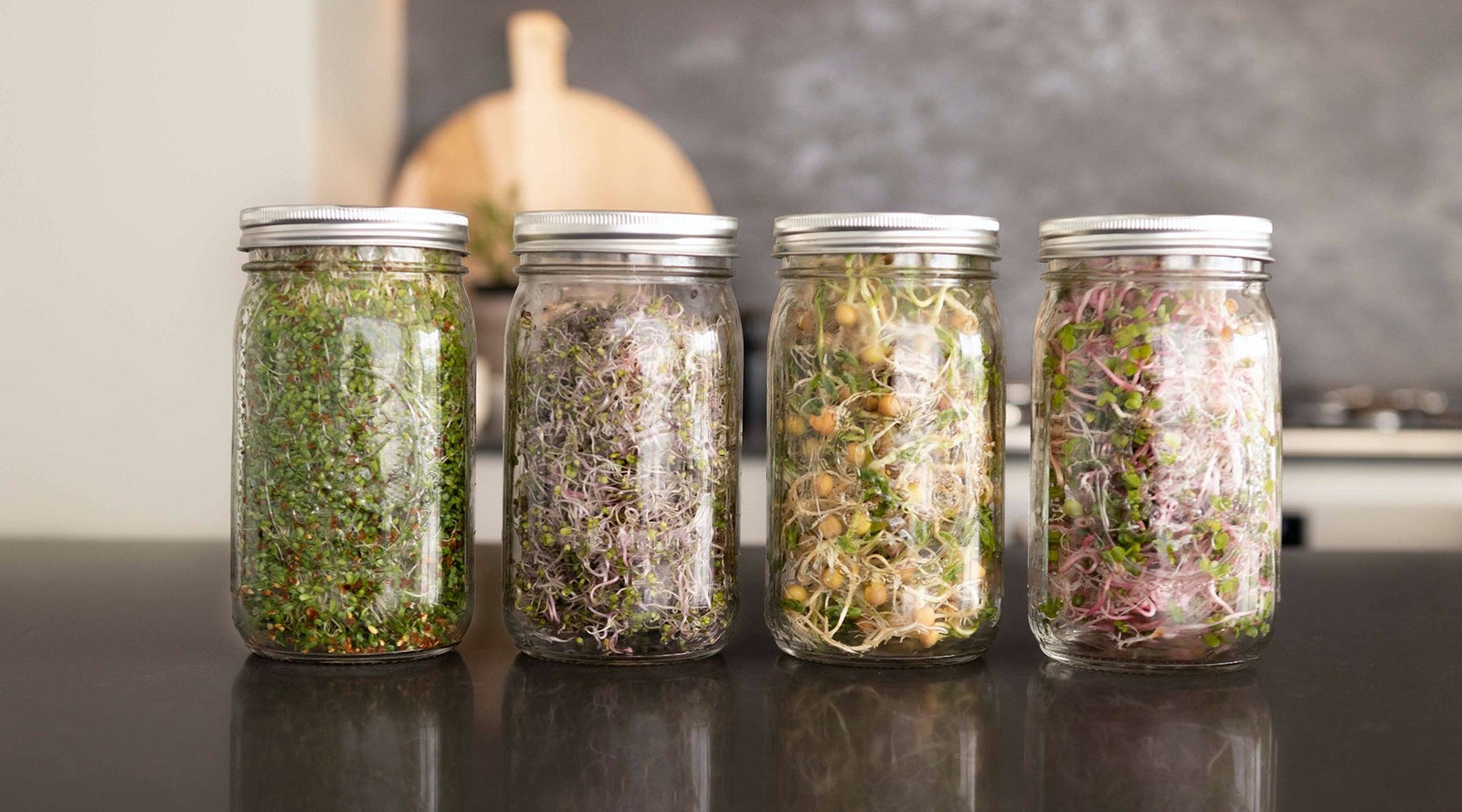 GROWING SPROUTS IN MASON JARS 