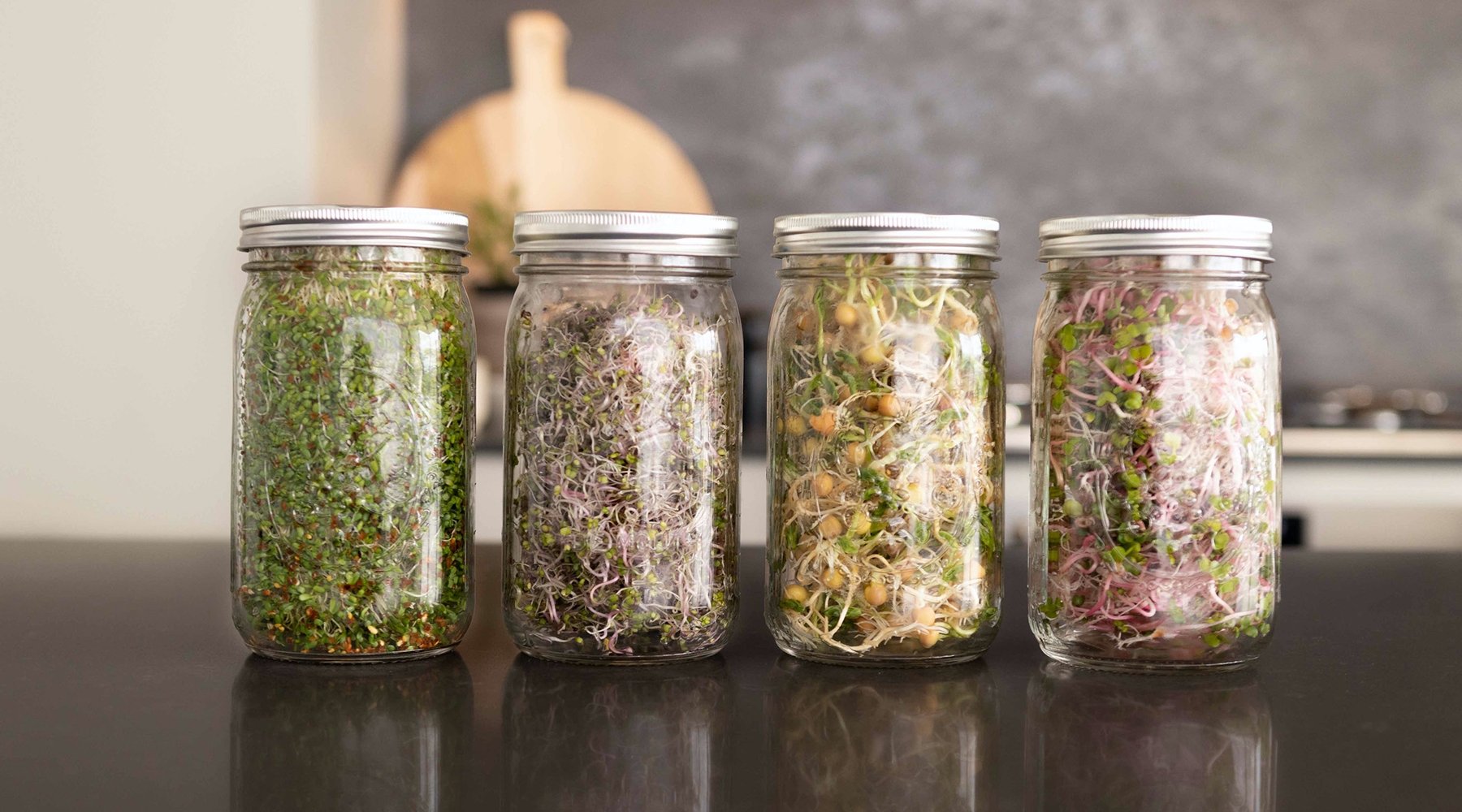How to Grow Sprouts in a Jar Step by Step Instructions gathera