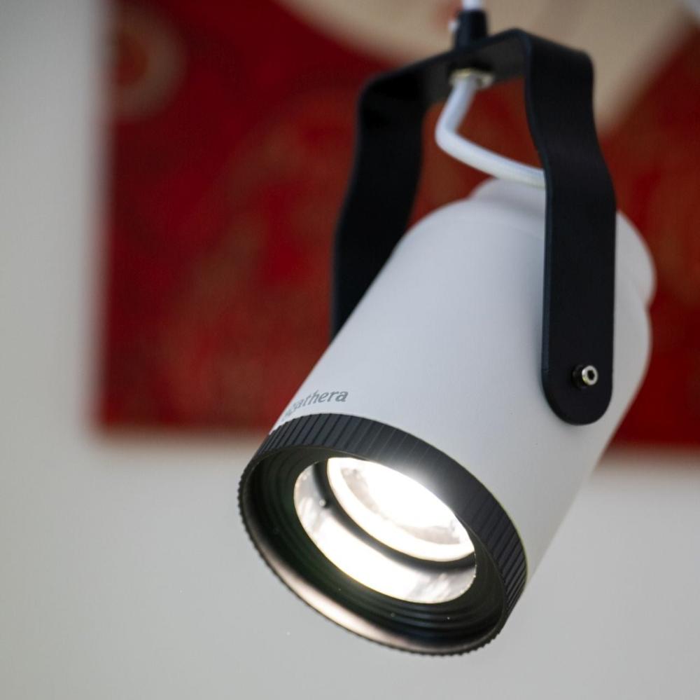gathera Sun Bulb mounted on a ceiling over plants