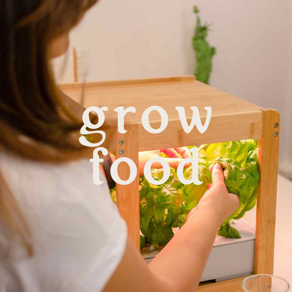 "grow food" written in front of image of woman harvesting basil from ecokitchen