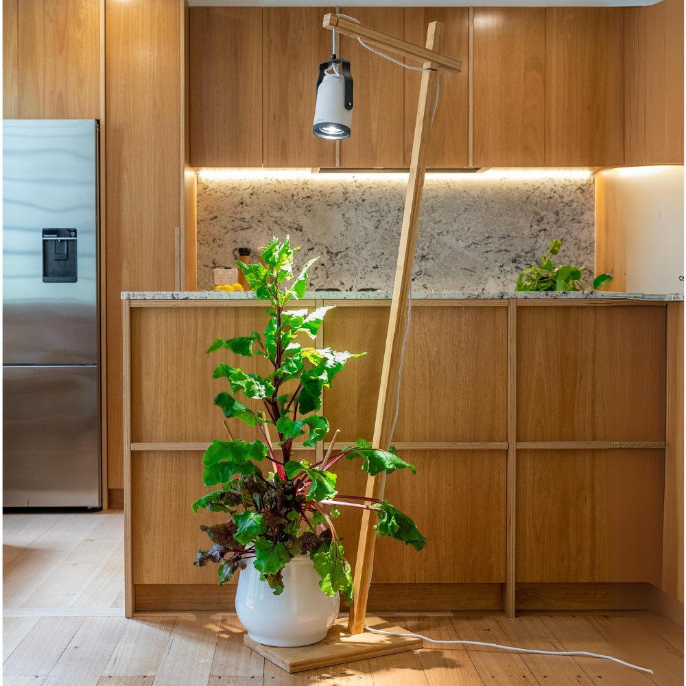 wall mounted plant grow light Sun Bulb Mount | Secure Wall Mount for Grow Lights