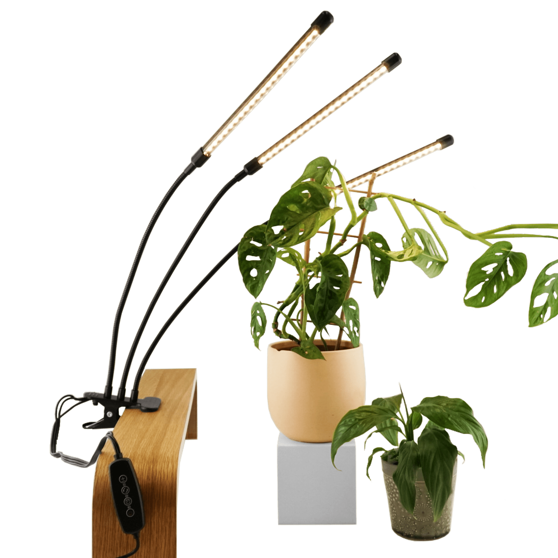 cute grow lights for indoor plants Full Spectrum Indoor Plant Grow Light | Grow Lamp