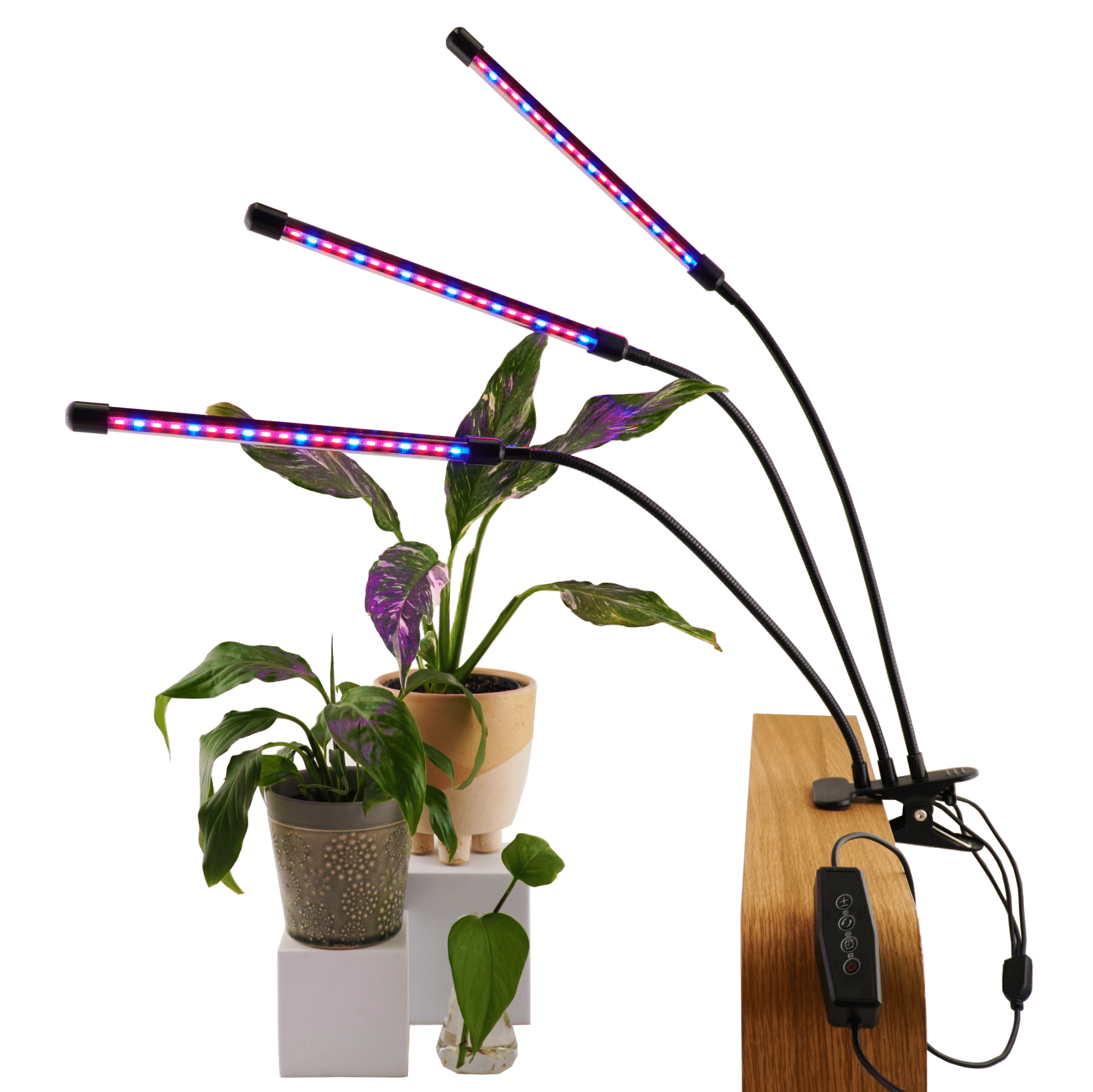 blue grow lights for plants Red/Blue Grow Light | 3 Headed Gooseneck Grow Light