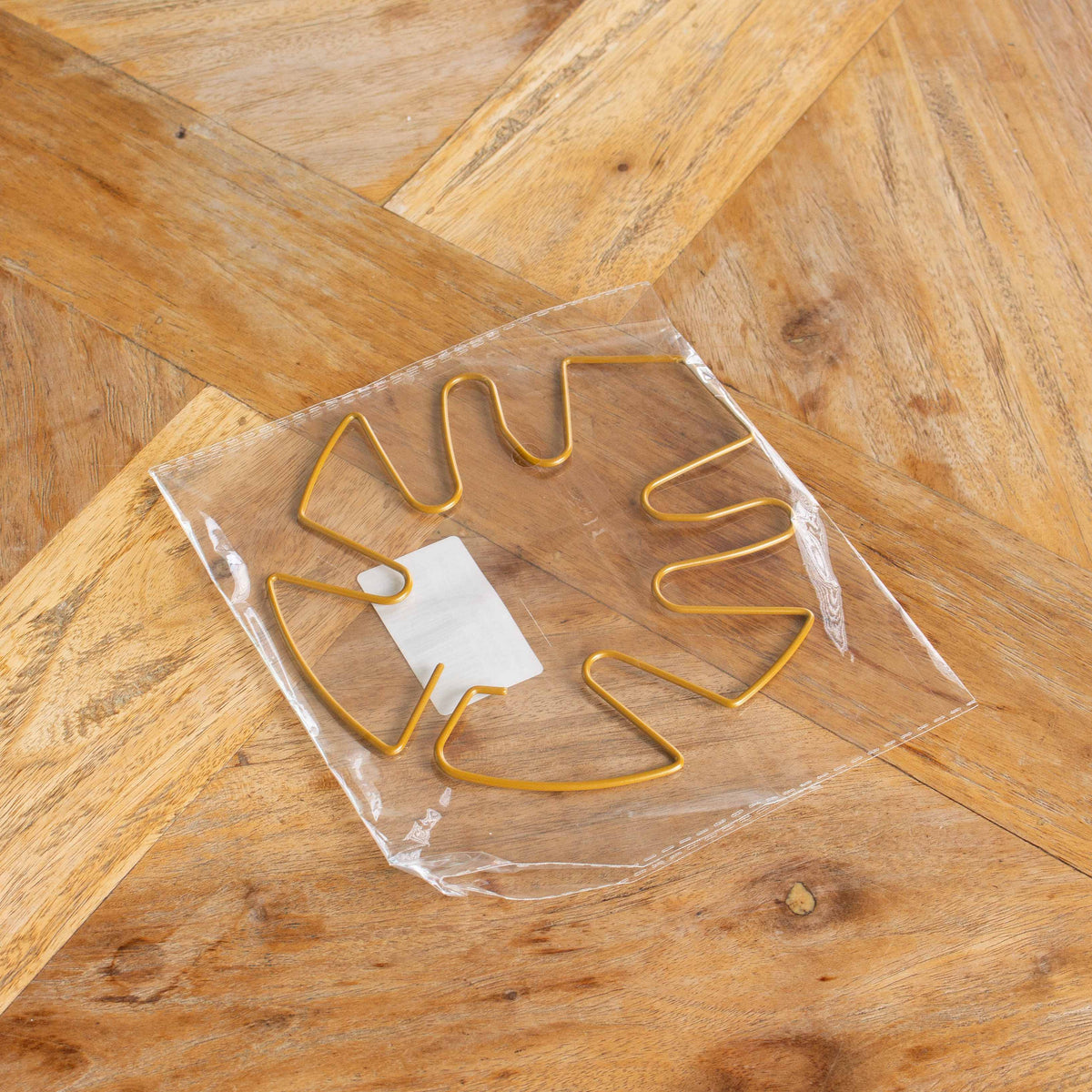 Houseplant Stem Supports