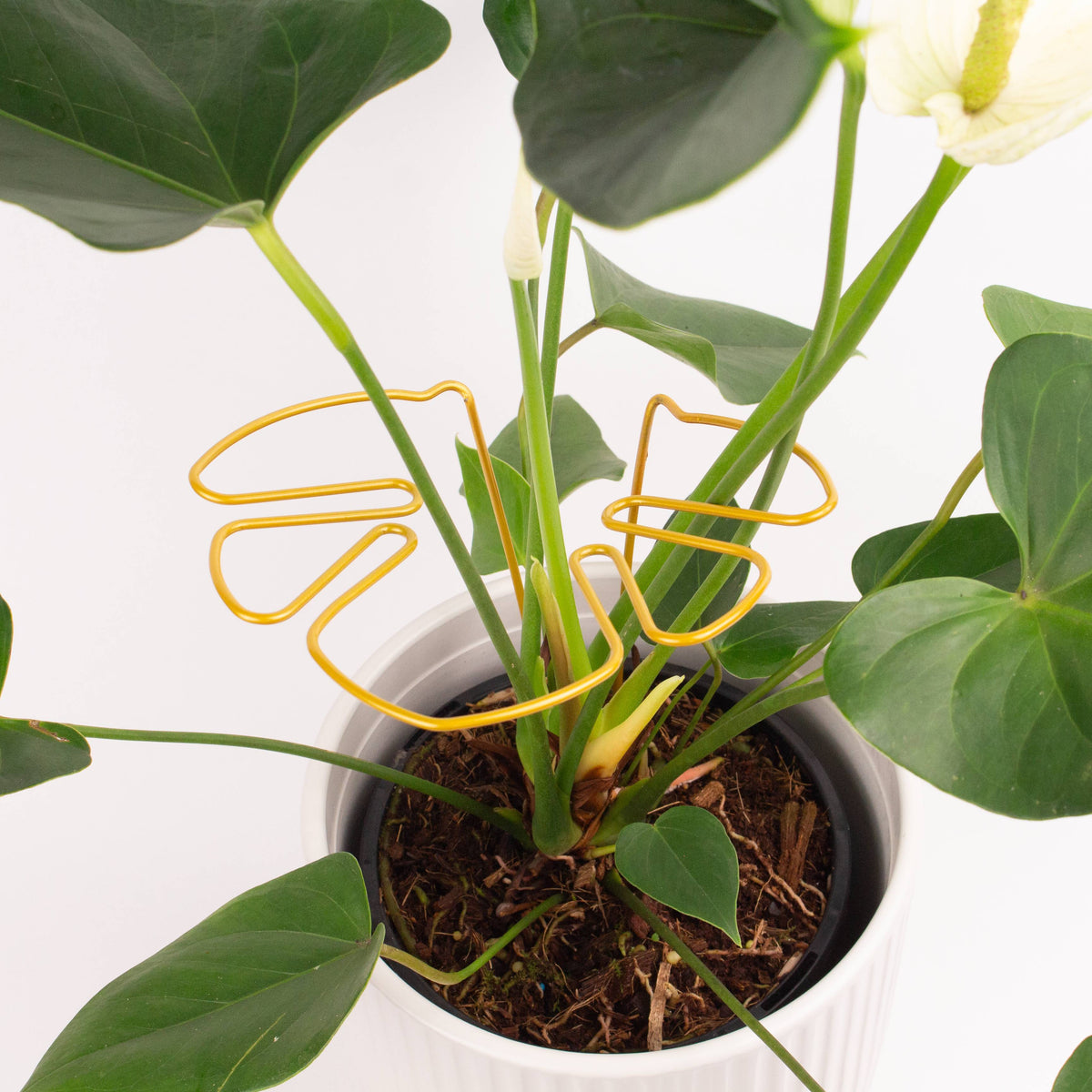 Houseplant Mini-Trellis | Monstera Shape