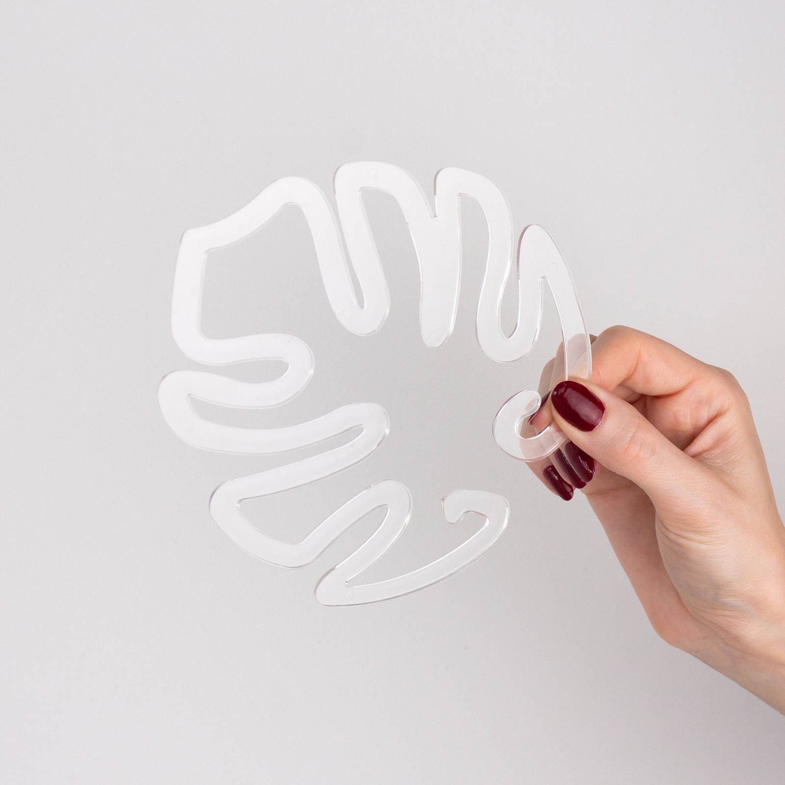 Houseplant Stem Supports