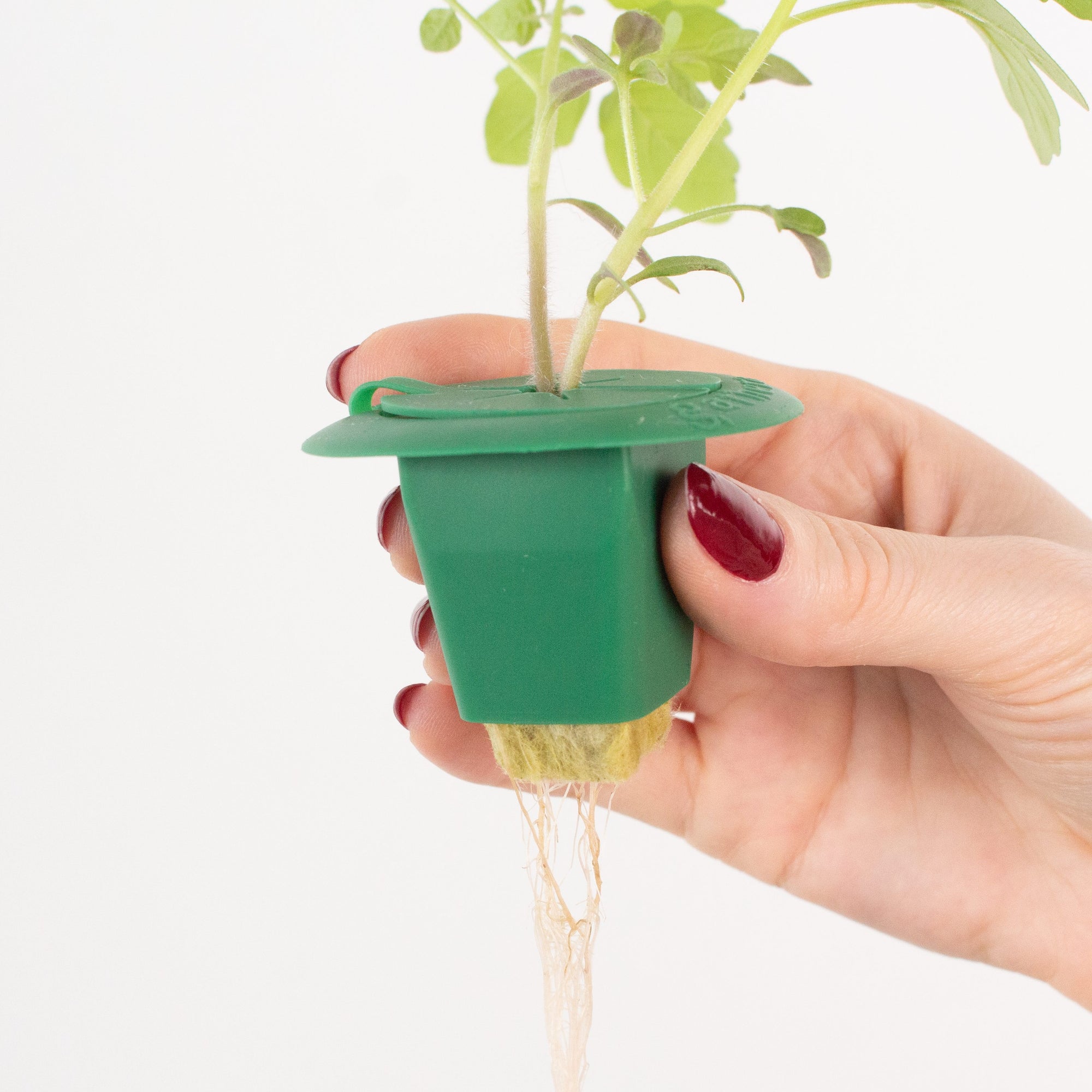 planting cups for hydroponics Hydroponic Net Cup with Algae Guard | Antibacterial Silicone
