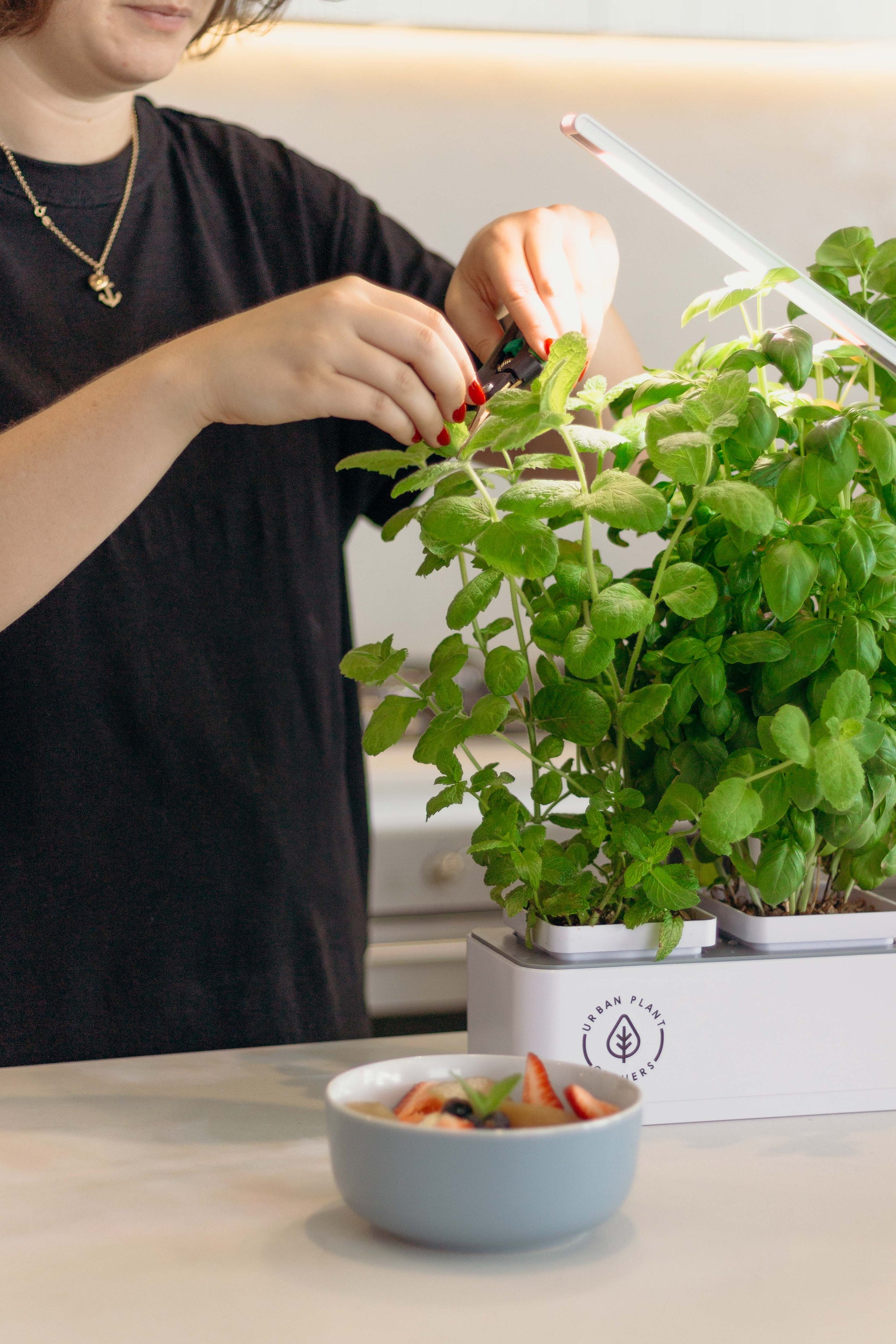 Indoor Smart Garden | Beginner hydroponic gardening kit