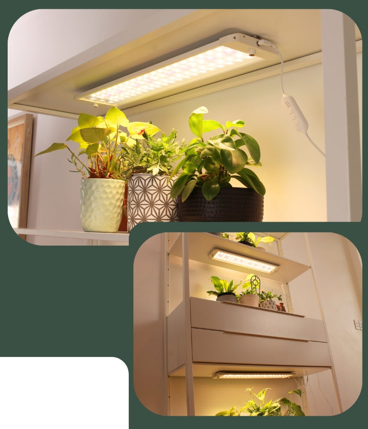 gathera | LED Grow Lights, Grow Shelves And Hydroponics