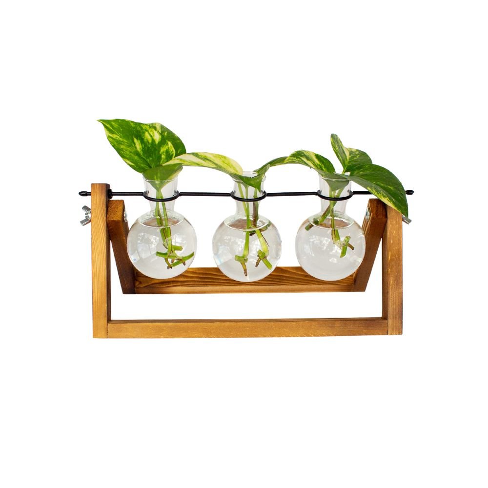 Plant Propagation Station | Glass and wood decorative vases