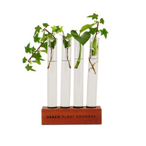 Propagation wooden test tube holder made from Australian red ironbark wood holds 4 test tubes