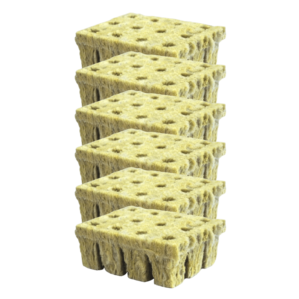 Rockwool Cubes - Grodan Brand