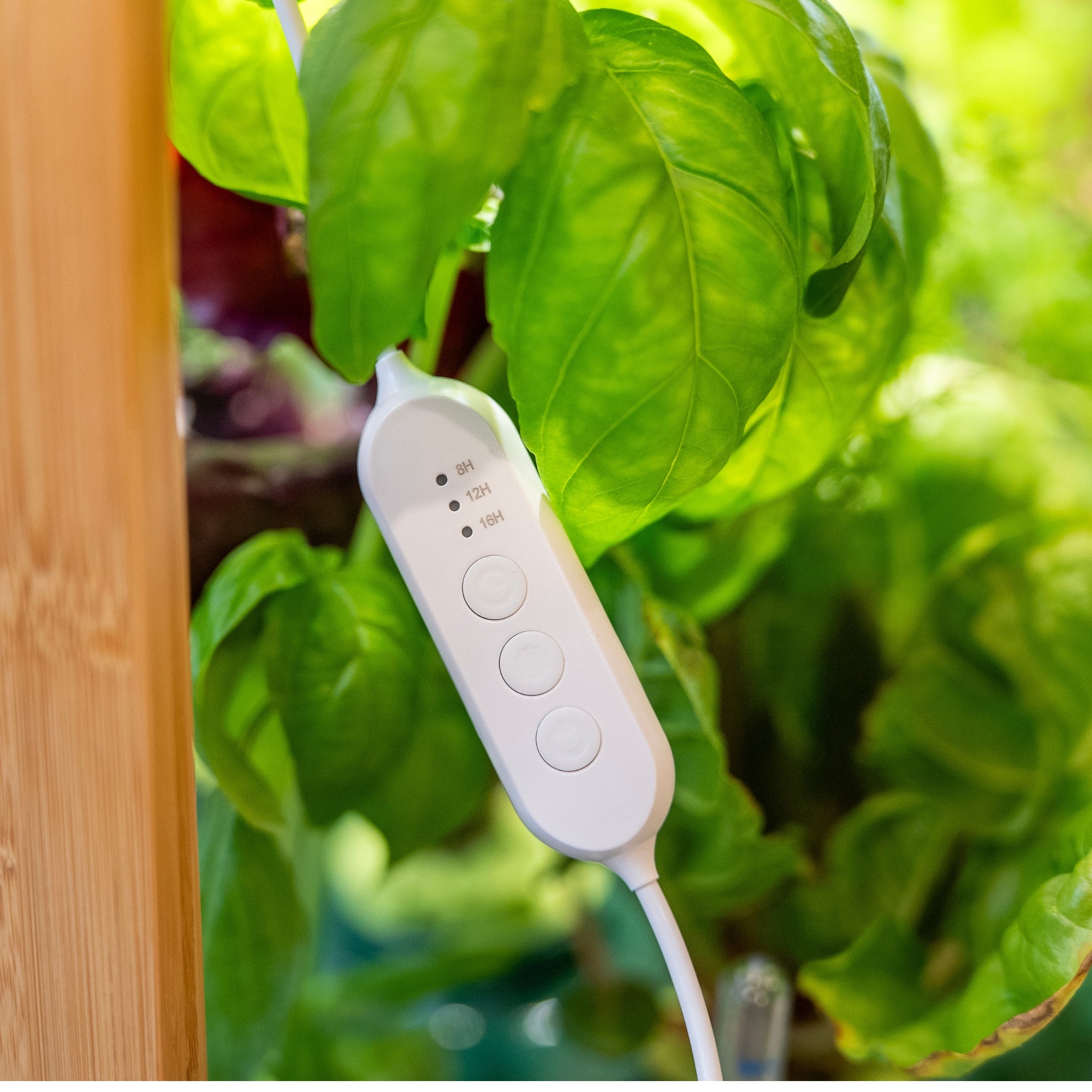 Shelf Light Panels | Full Spectrum LED grow lights - gathera
