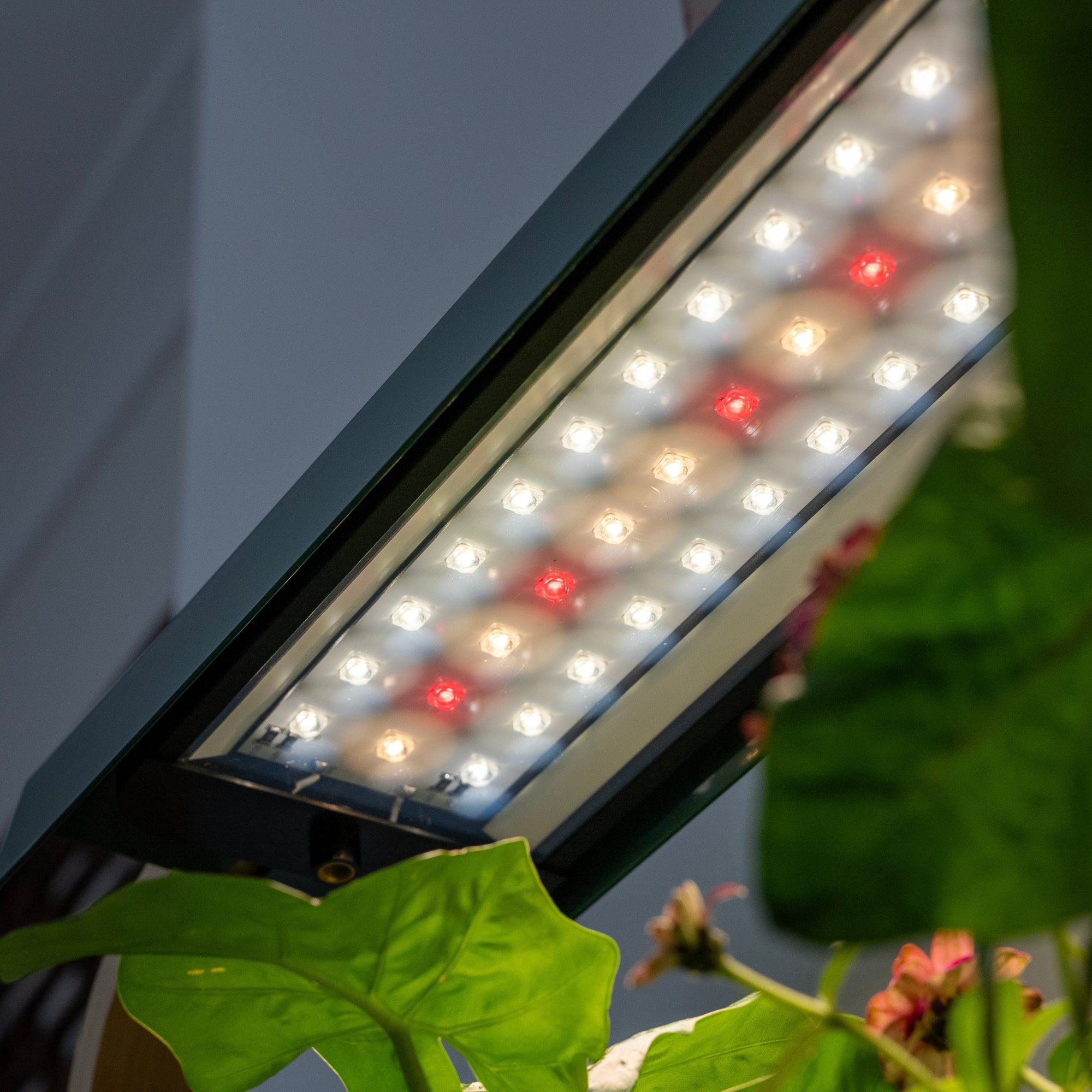 Sun Patch | Tabletop full spectrum LED grow light with controller