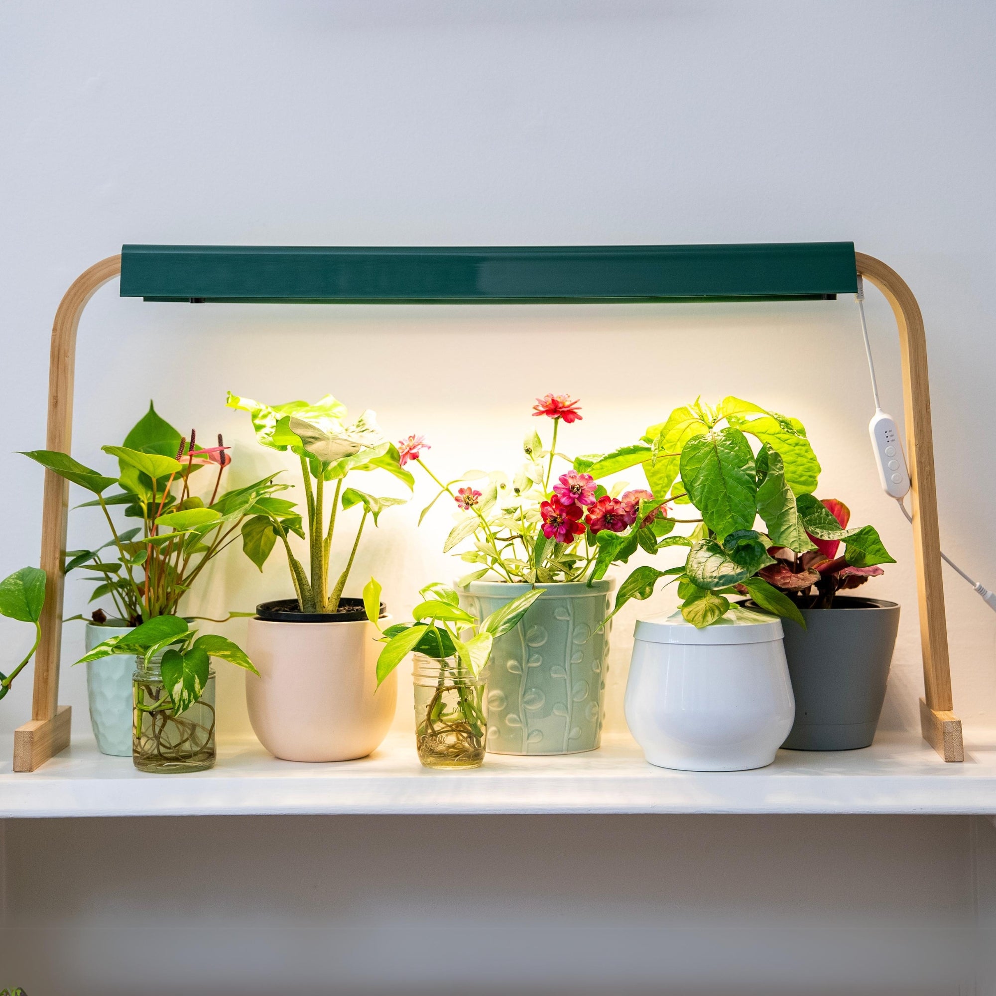 artificial sun for indoor plants Sun Patch | Grow light for indoor plants and seedlings