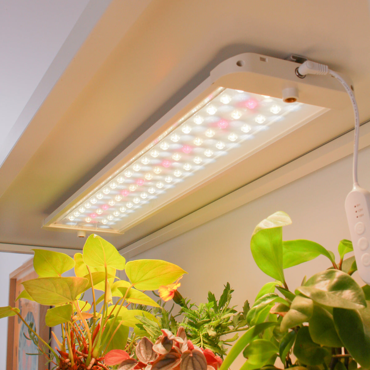 Sun panel led grow light shining on indoor house plants in white shelf-1
