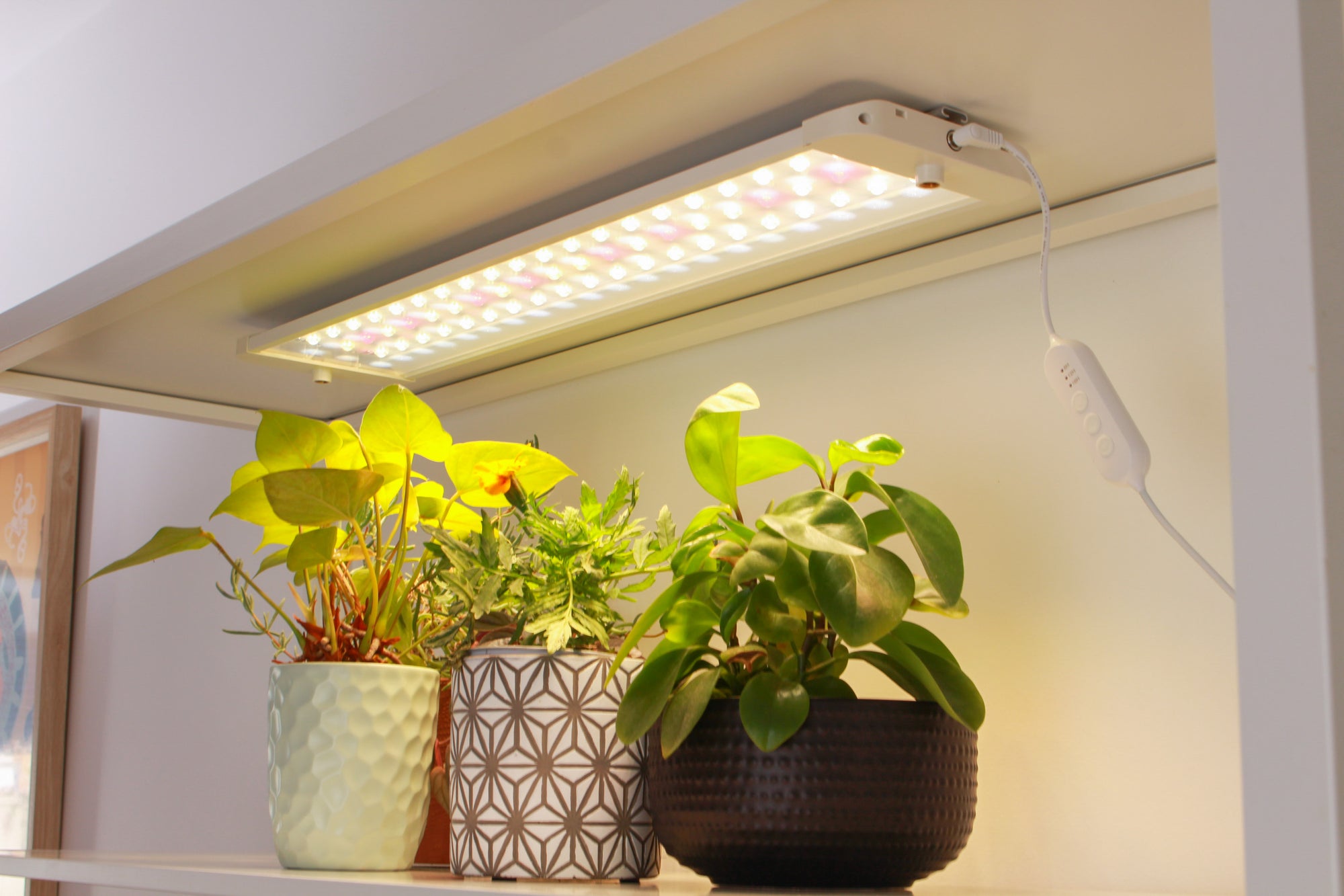 Sun Panel 3 | Full spectrum LED light panels | Clip onto shelves