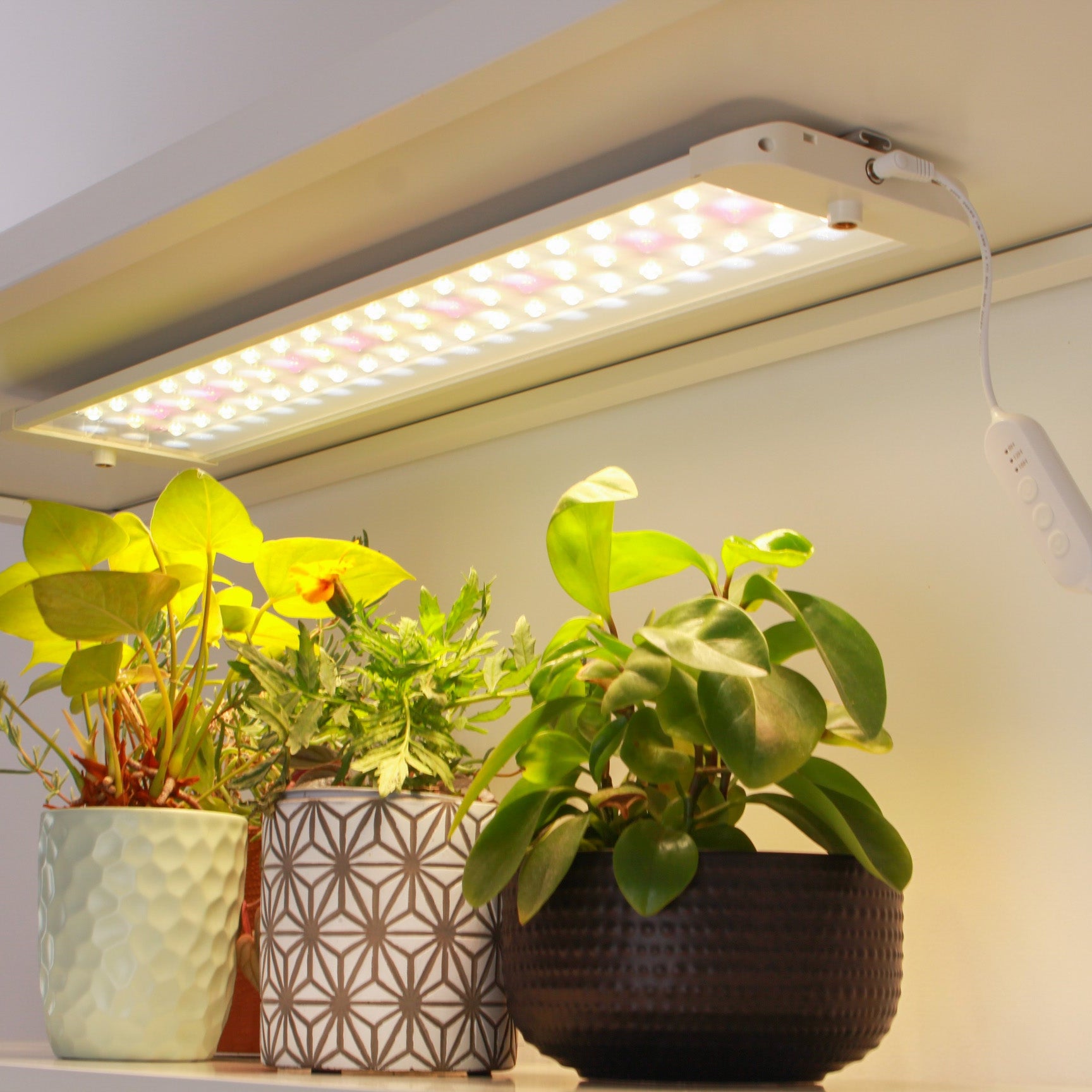 does white led light help plants grow Shelf Light Panels | Full Spectrum LED grow lights