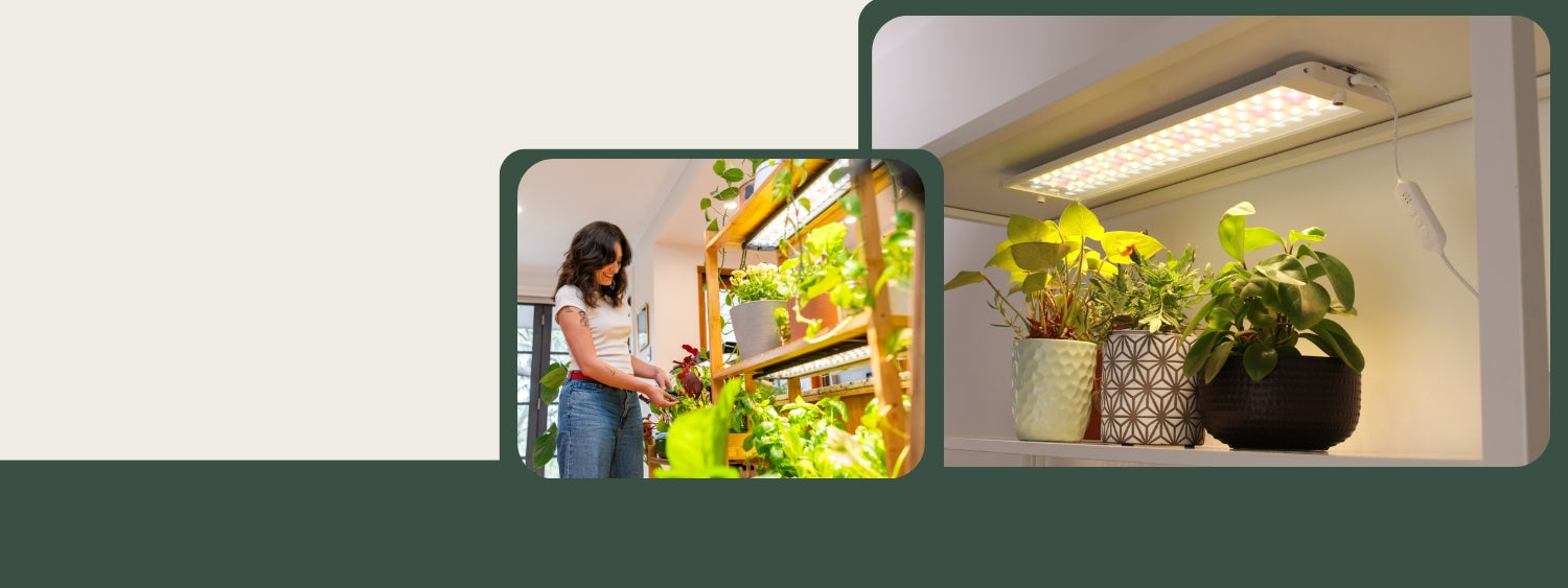 gathera | LED Grow Lights, Grow Shelves And Hydroponics
