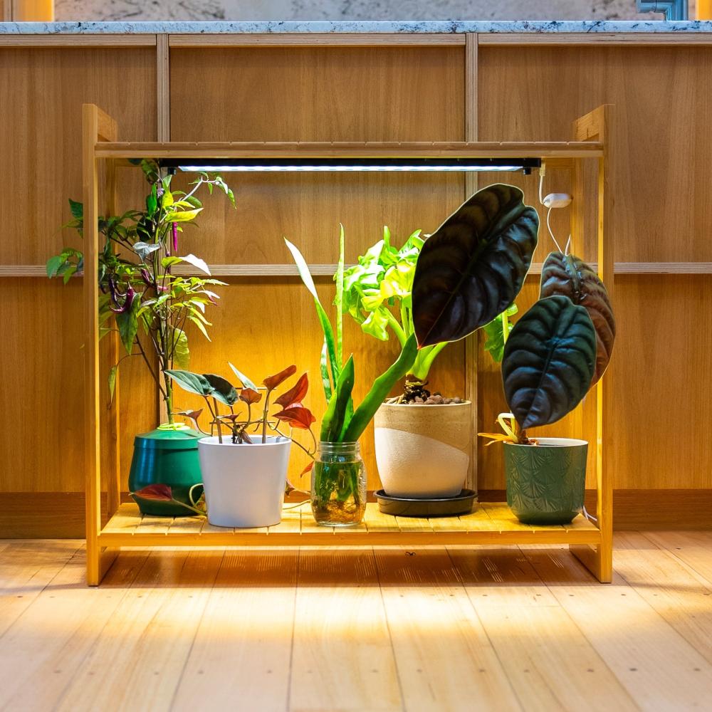 Sun Shelf 3 | Plant shelf with built-in full spectrum LED grow lights