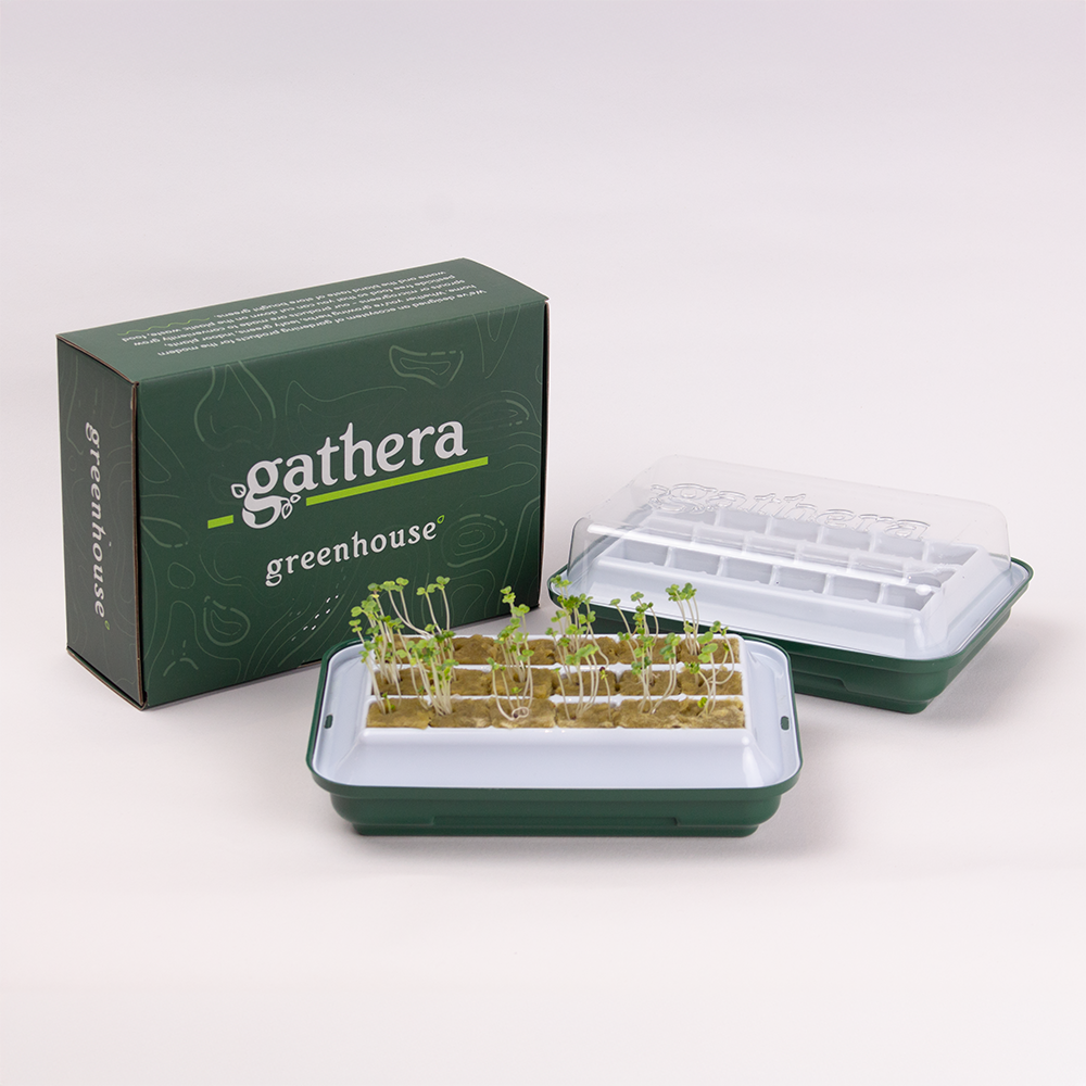 Rockwool Germination Kit for Hydroponic Seedlings - gathera