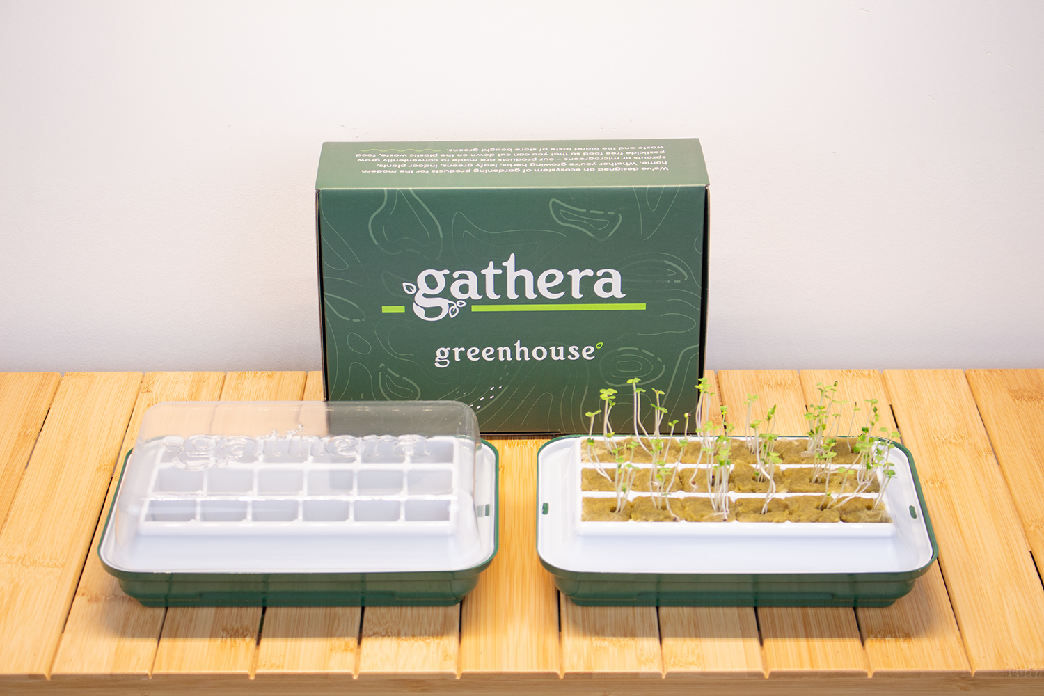 Greenhouse Seedling Tray