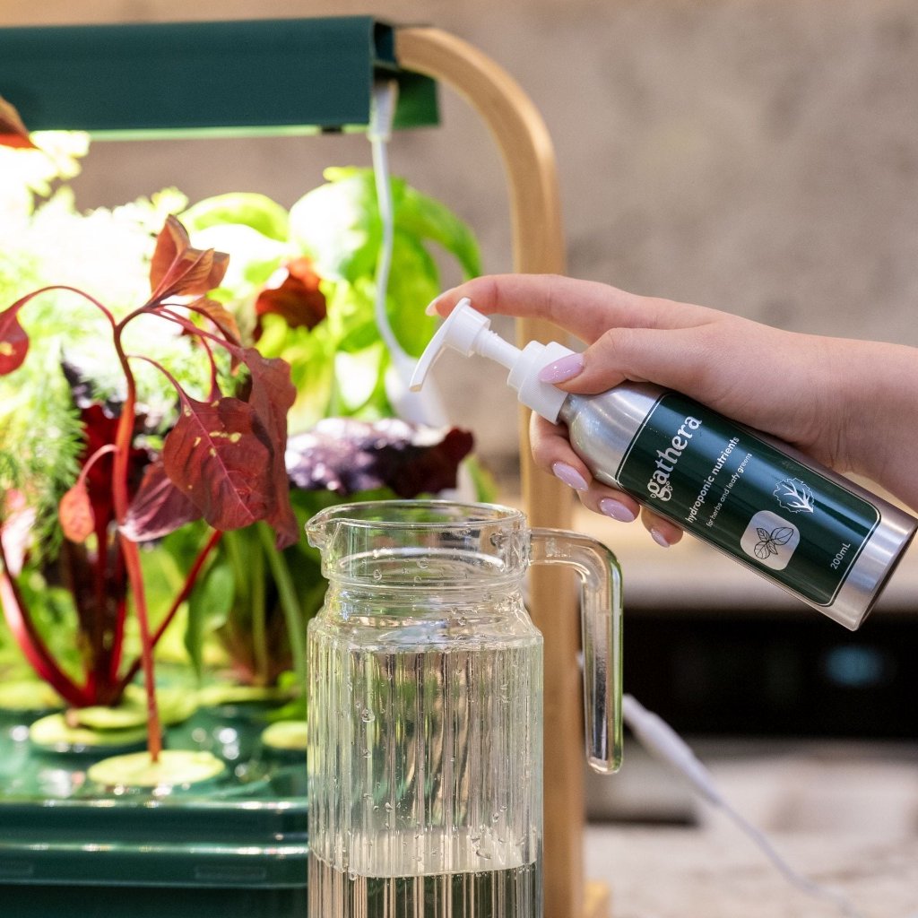 Sun Garden | The biggest indoor hydroponic garden - gathera