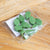 Leaf Shaped Plant And Cable Clips (10 Pack)